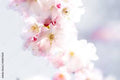 April