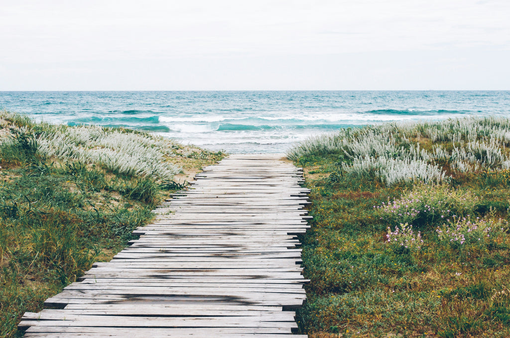 oceanwalk