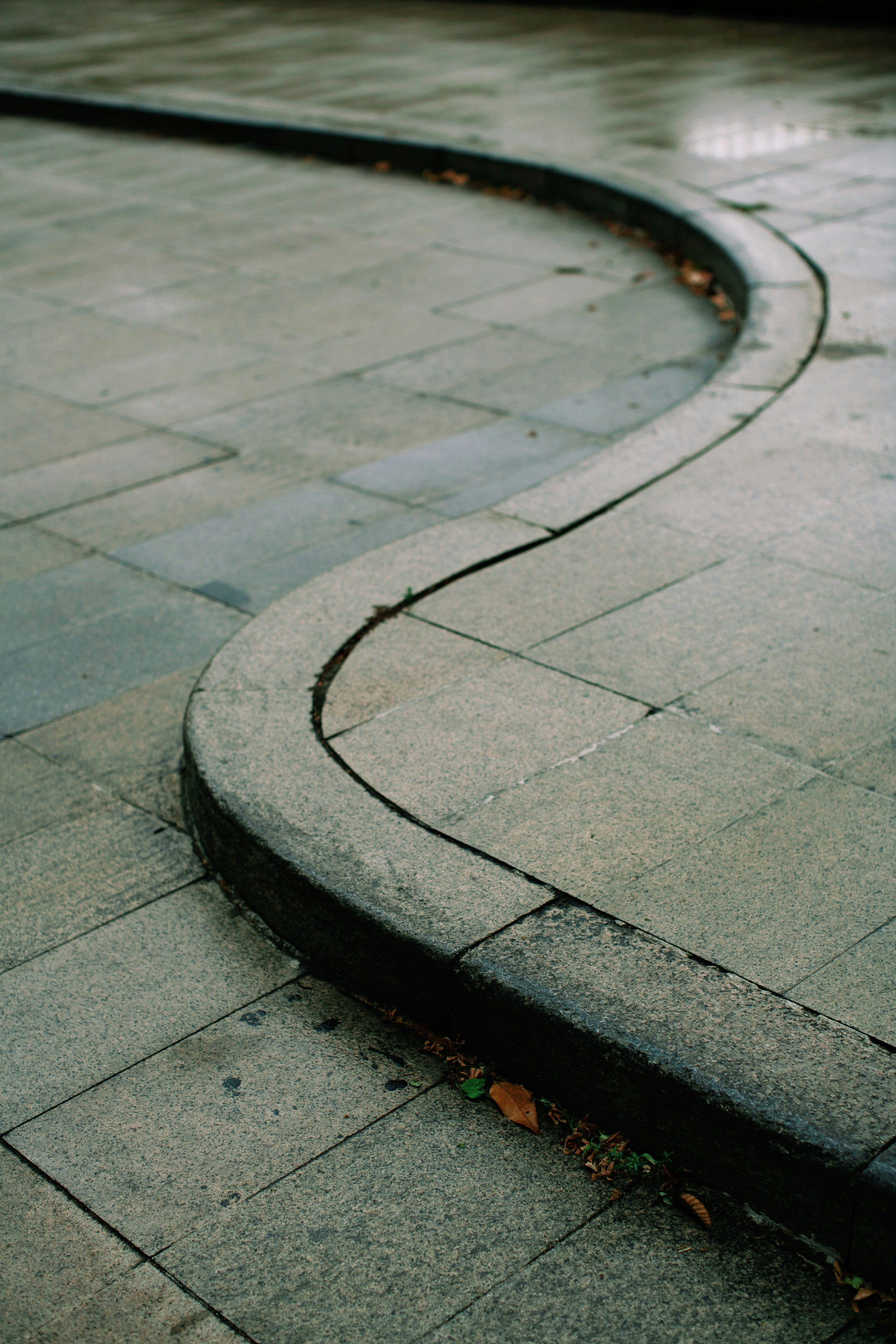 Curved sidewalk with water on wet pavement, evoking subtle leadership, calm orientation, and movement shaped by changing terrain.
