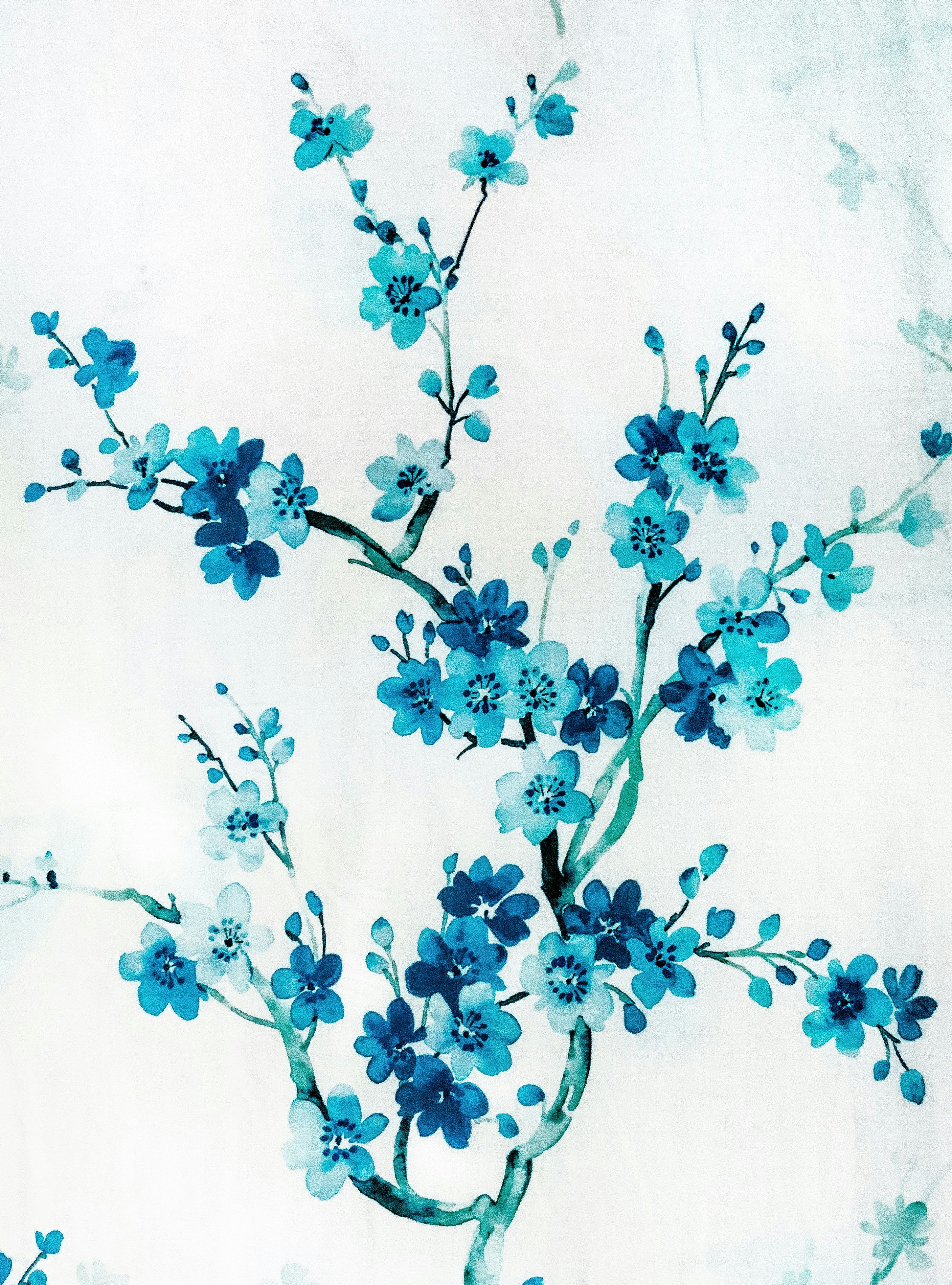 Blueflower