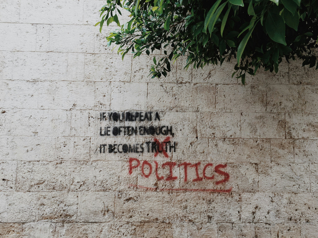 micropolitics  2