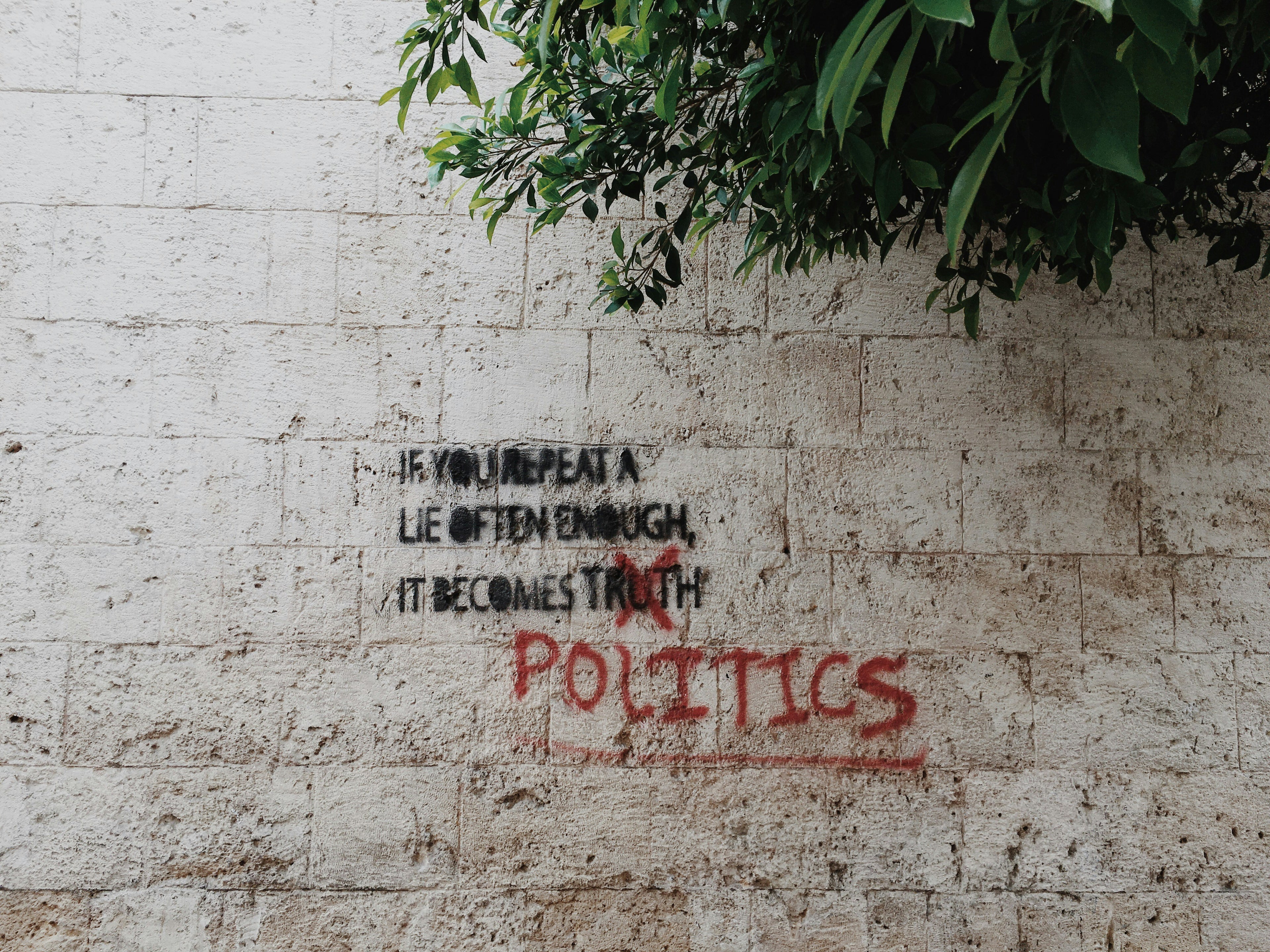micropolitics  2