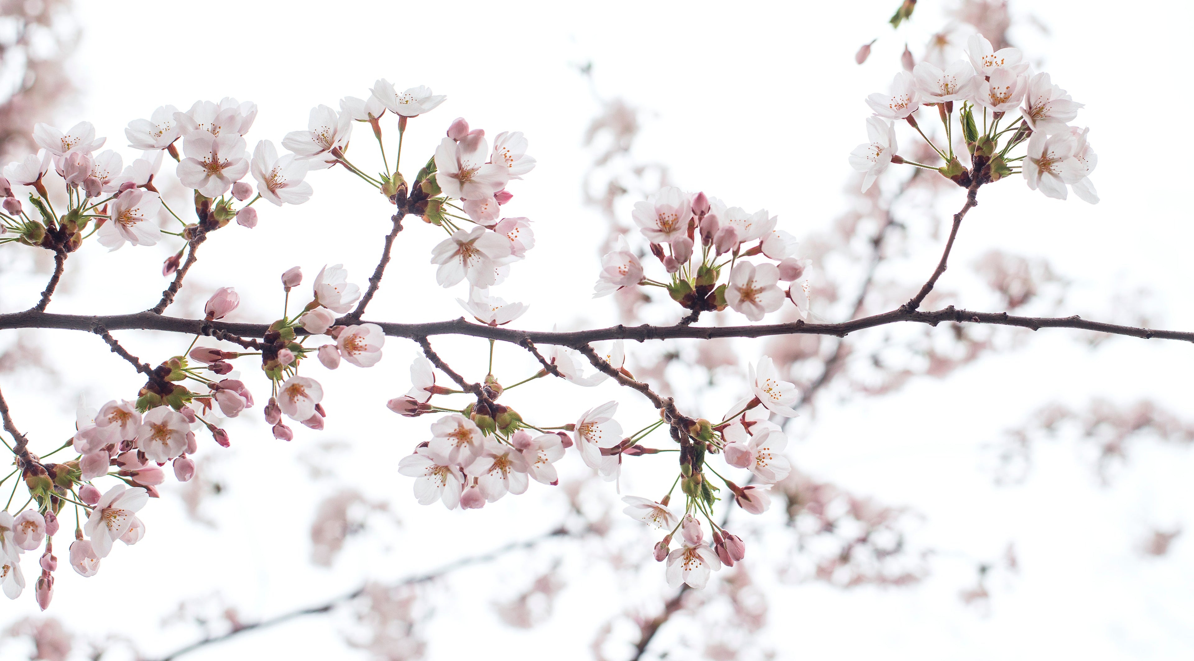 May