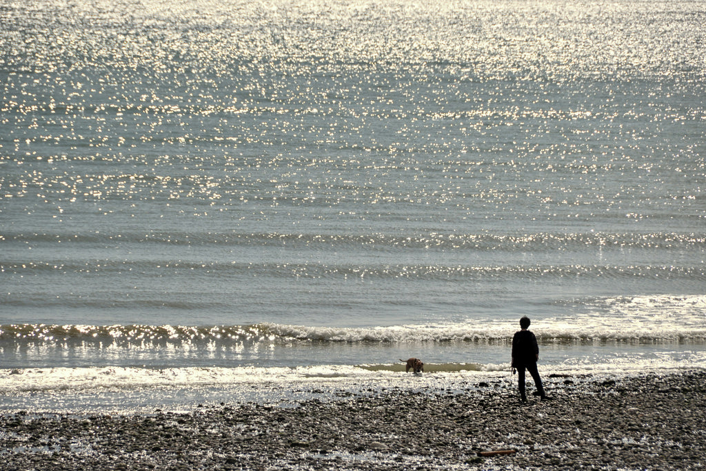 oceanwalk