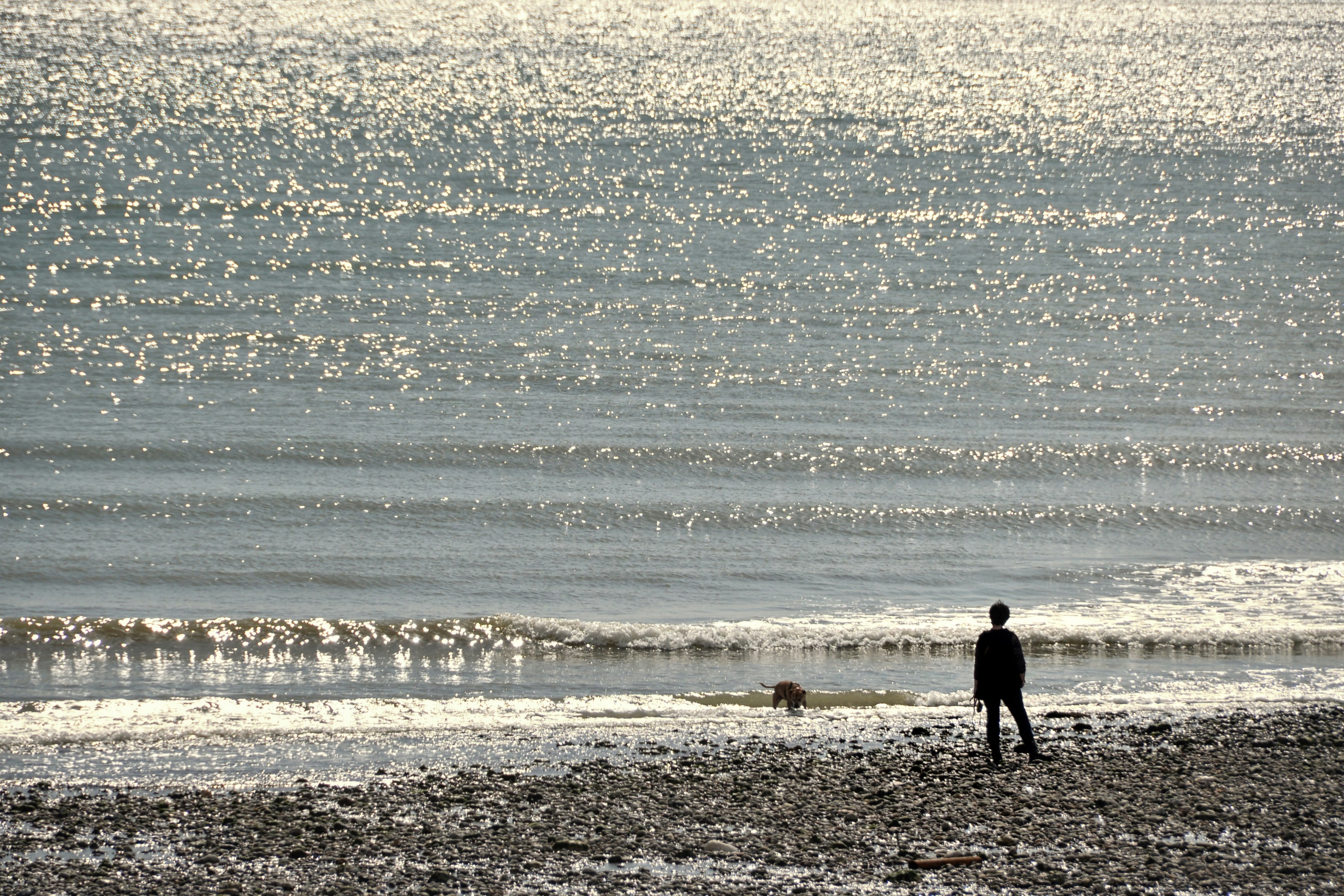 oceanwalk