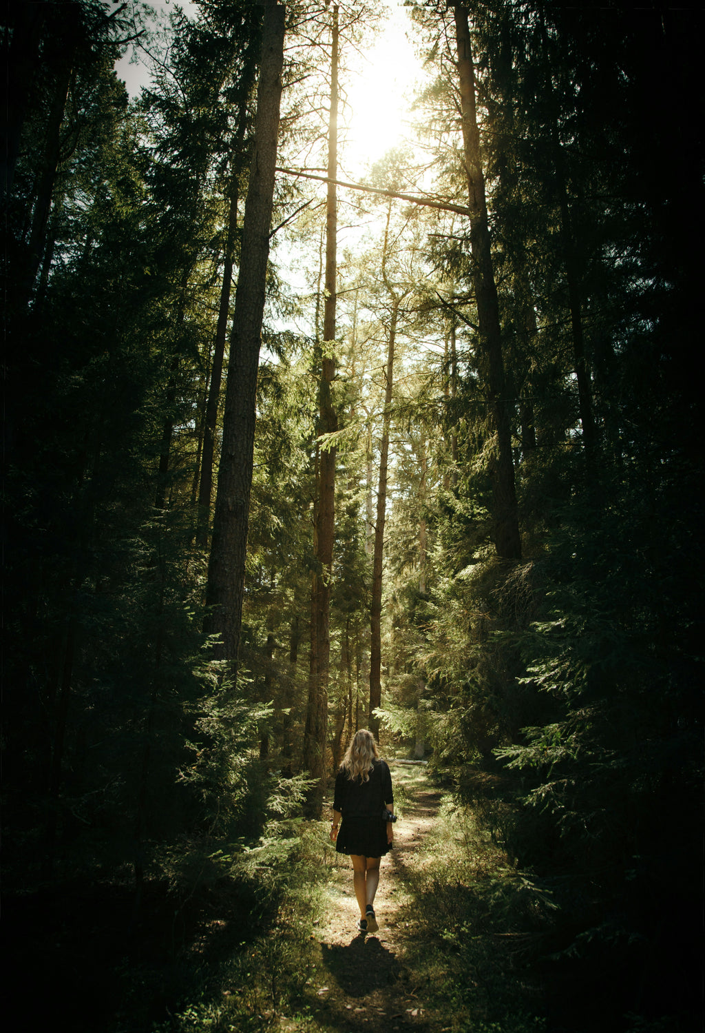 forestwalk