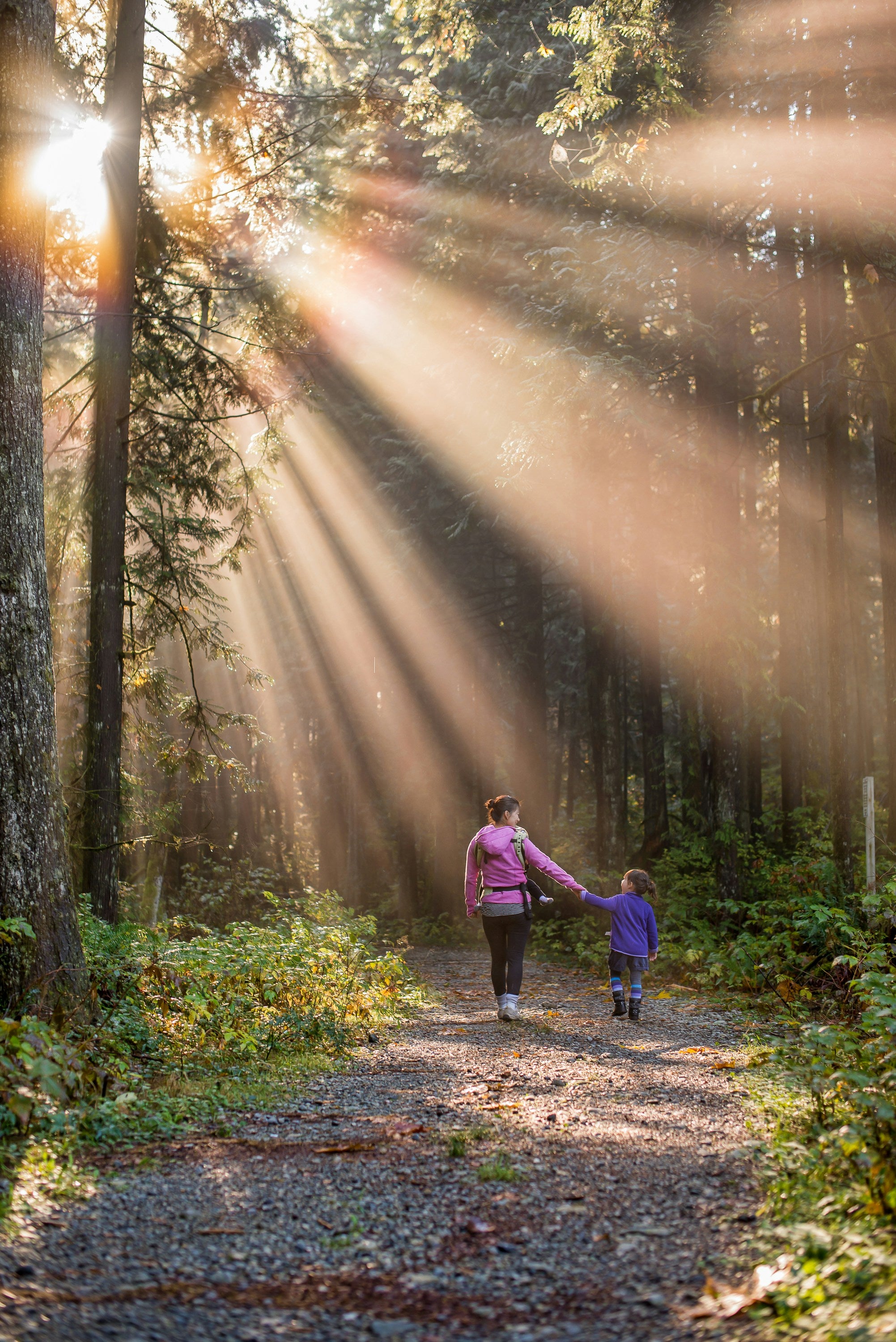 forestwalk