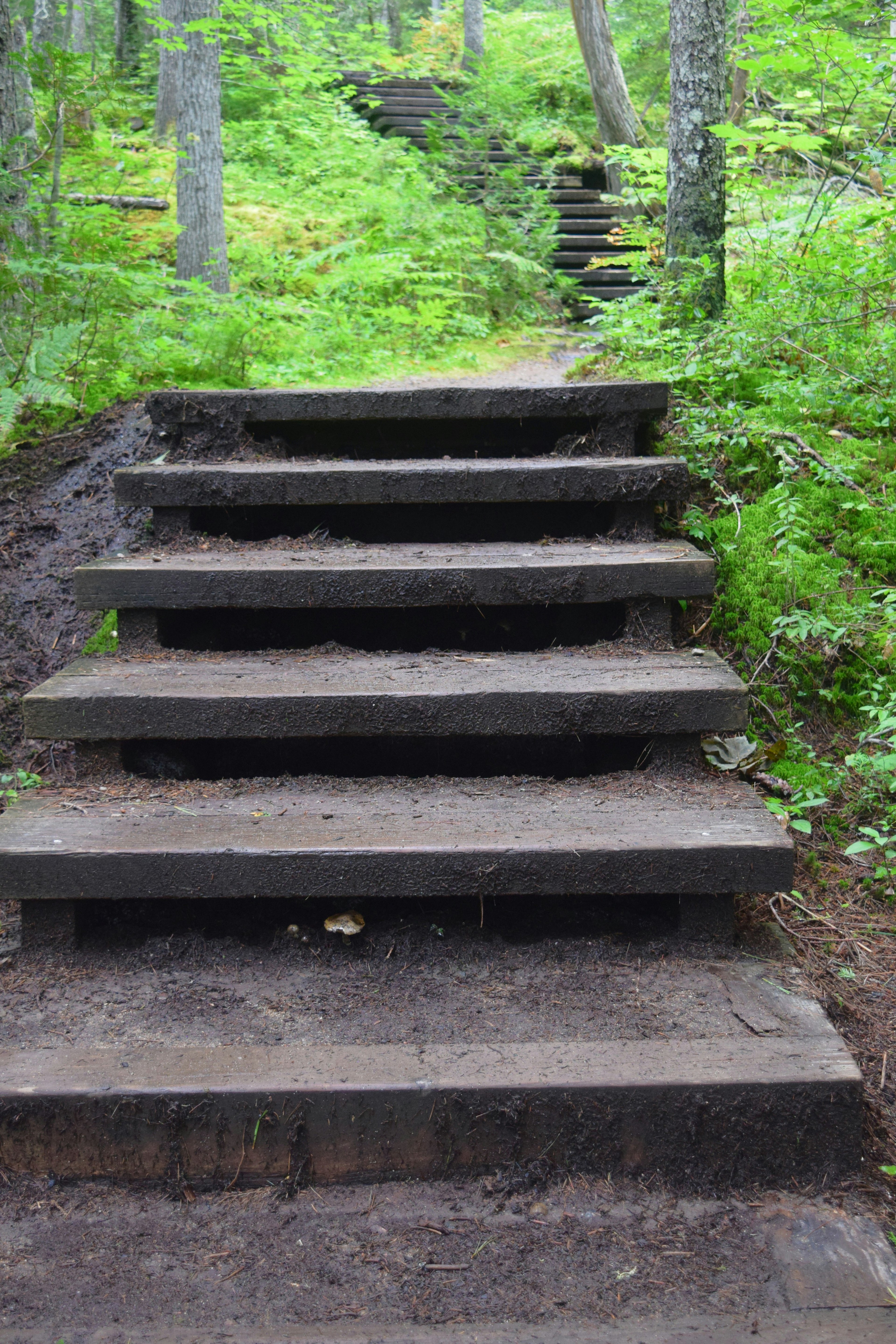 six steps