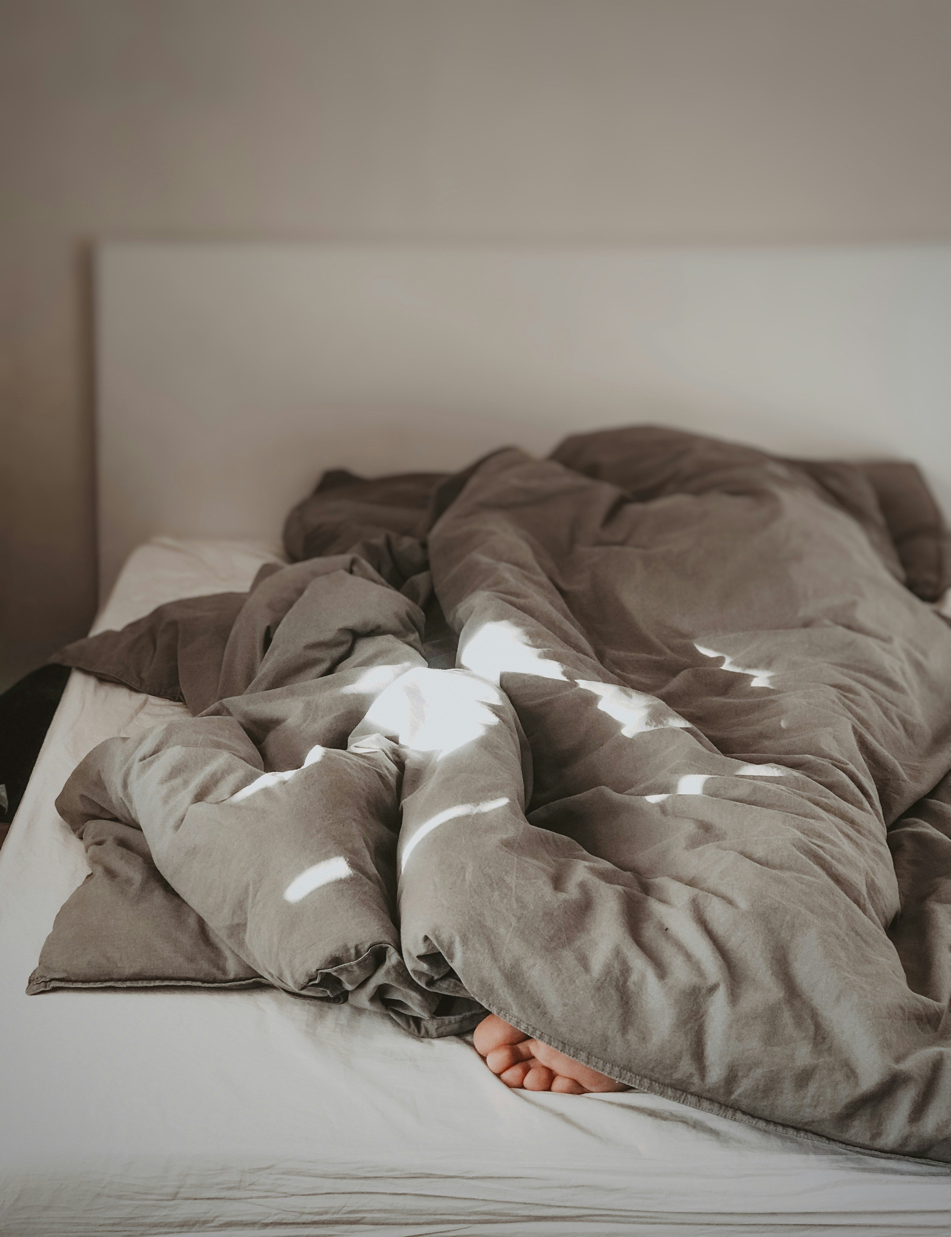 sleepwings
