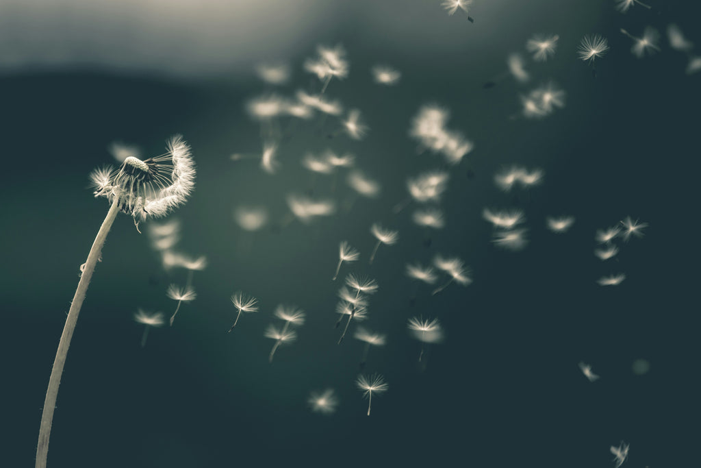 8 winds of change