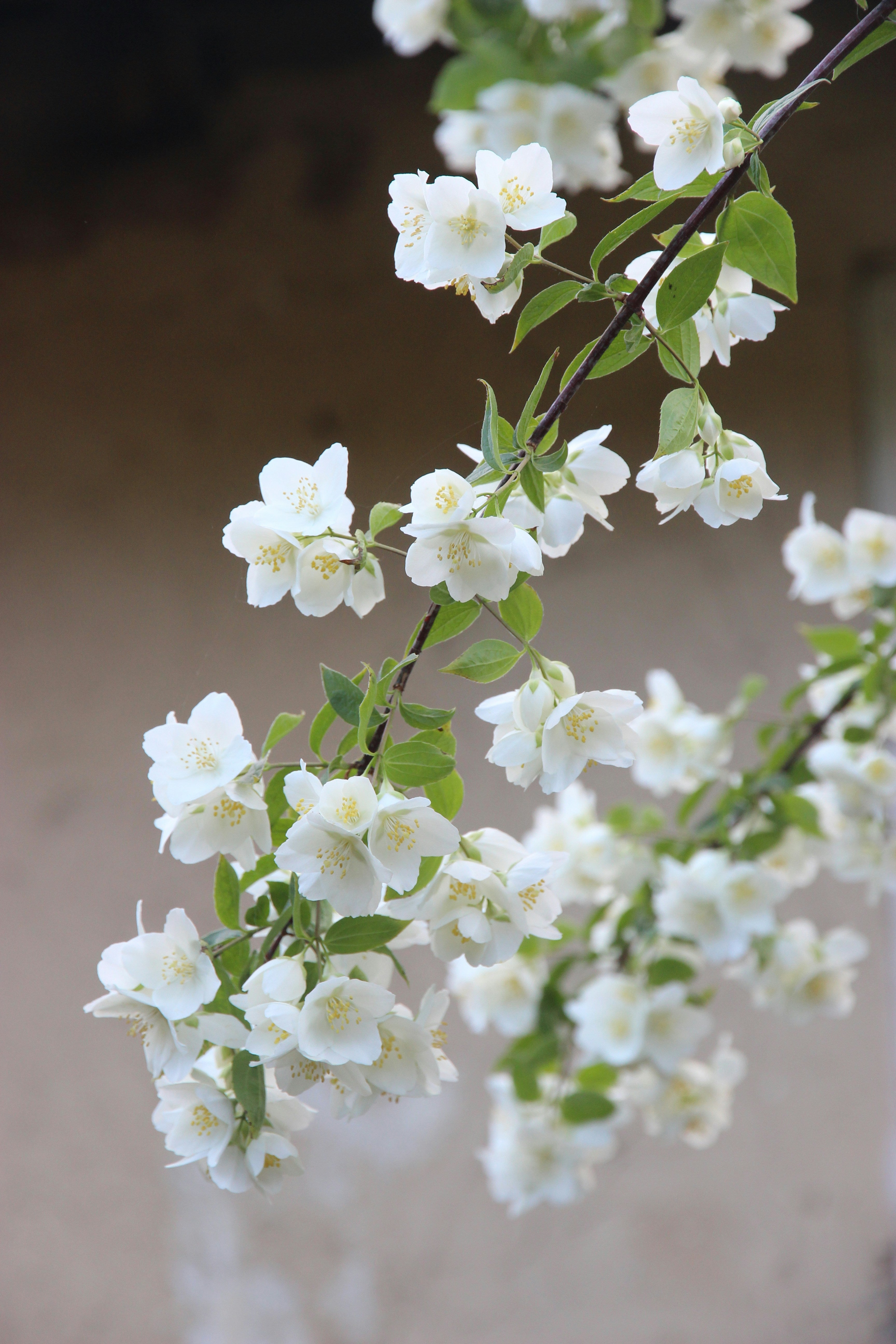 June