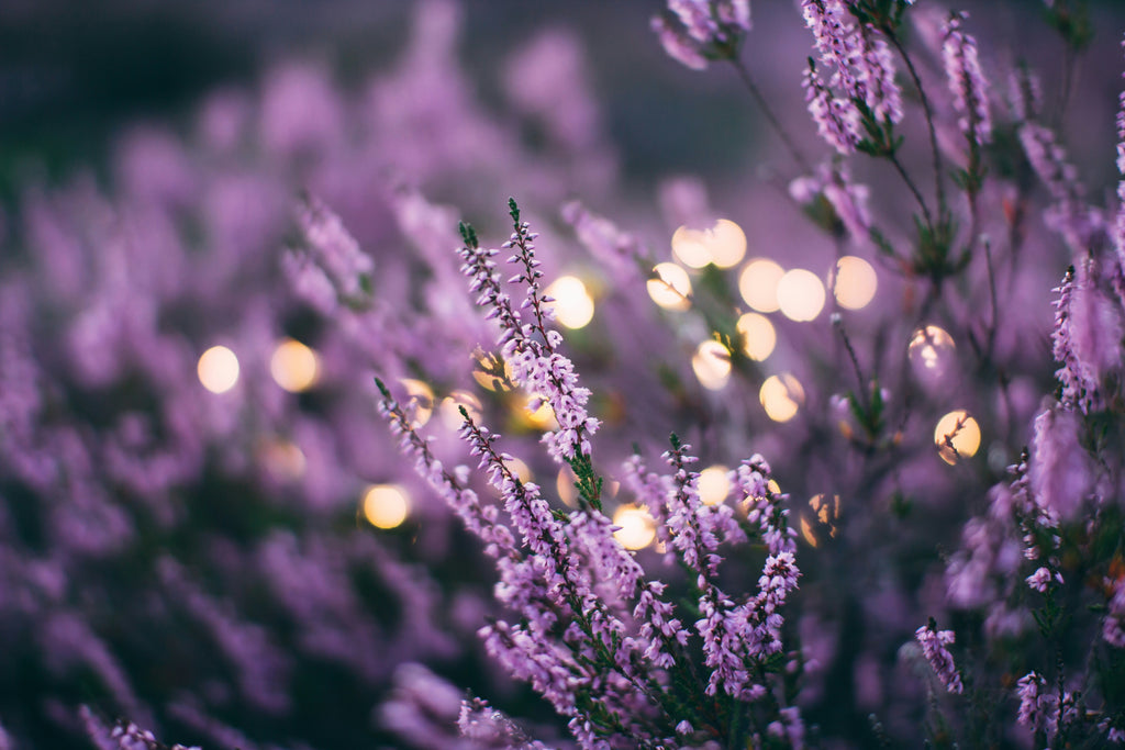 warmth